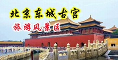 美女狂肏中国北京-东城古宫旅游风景区